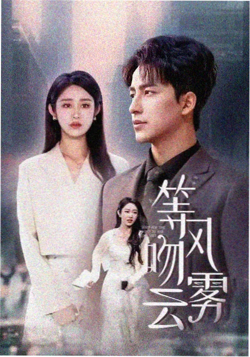热播电视剧